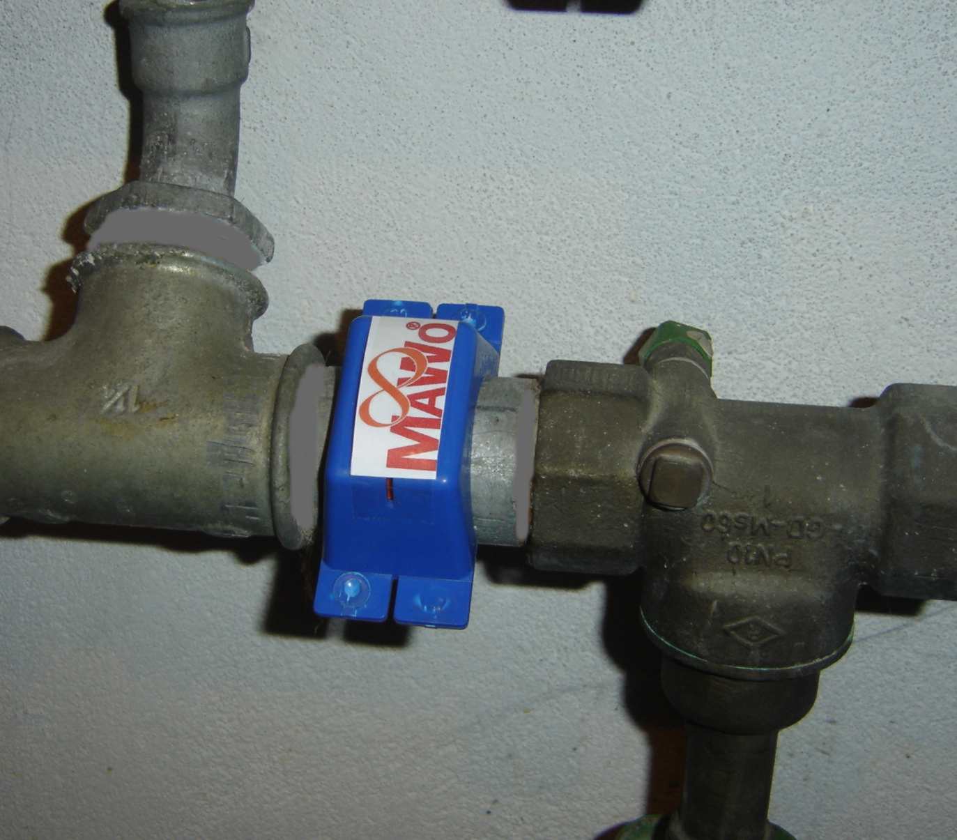 2008 wasserring.jpg